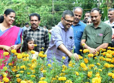 Chendumalli harvest of Zilla Panchayat