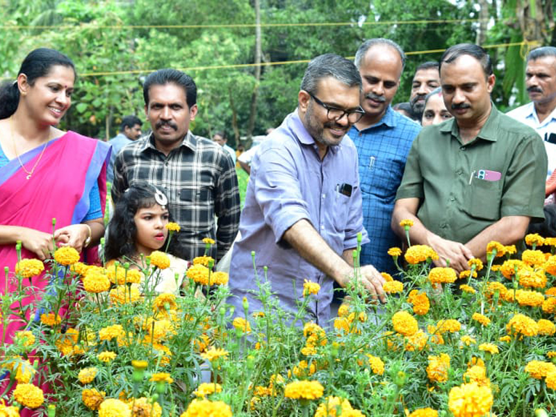 Chendumalli harvest of Zilla Panchayat