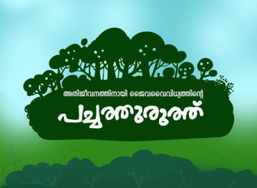 Awards at the district level and state level in various categories