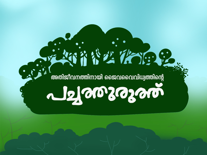 Awards at the district level and state level in various categories
